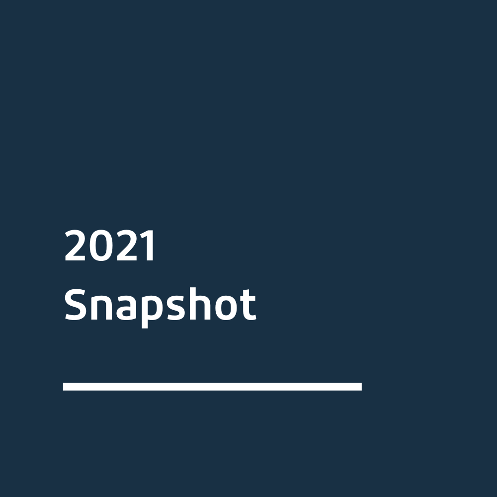 2020 Snapshot related link
